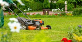 tondeuse dans un jardin